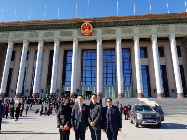 电气工程学部焕新而来，开启能源电力创新新征程